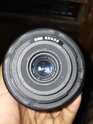 Canon 55-250mm Lens