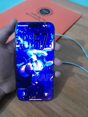 Apple iPhone 16 Pro Max 256 GB Gray
