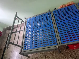 তানিন সোফা কাম খাট।