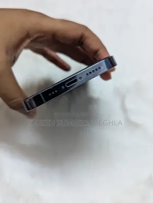 অ্যাপল আইফোন ১৩ প্রো ২৫৬ জিবি ব্লু