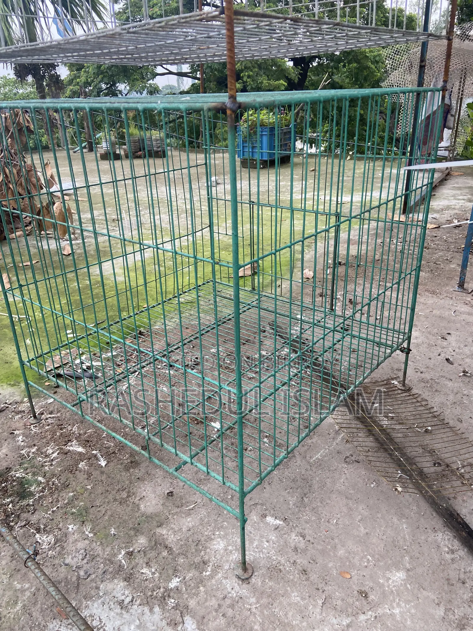 ২৪-২৪ খাঁচা