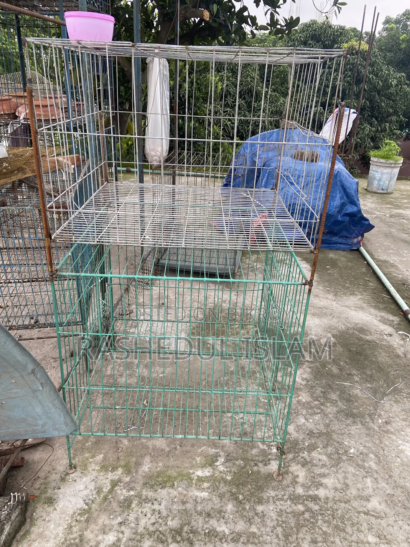 ২৪-২৪ খাঁচা