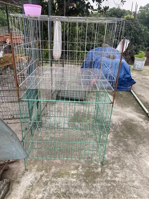 ২৪-২৪ খাঁচা