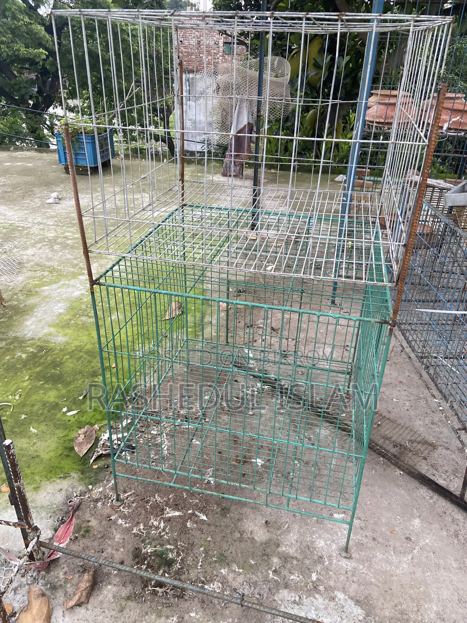 ২৪-২৪ খাঁচা