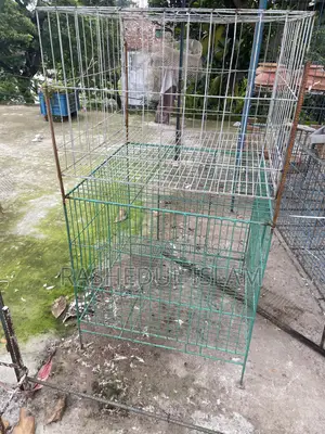২৪-২৪ খাঁচা