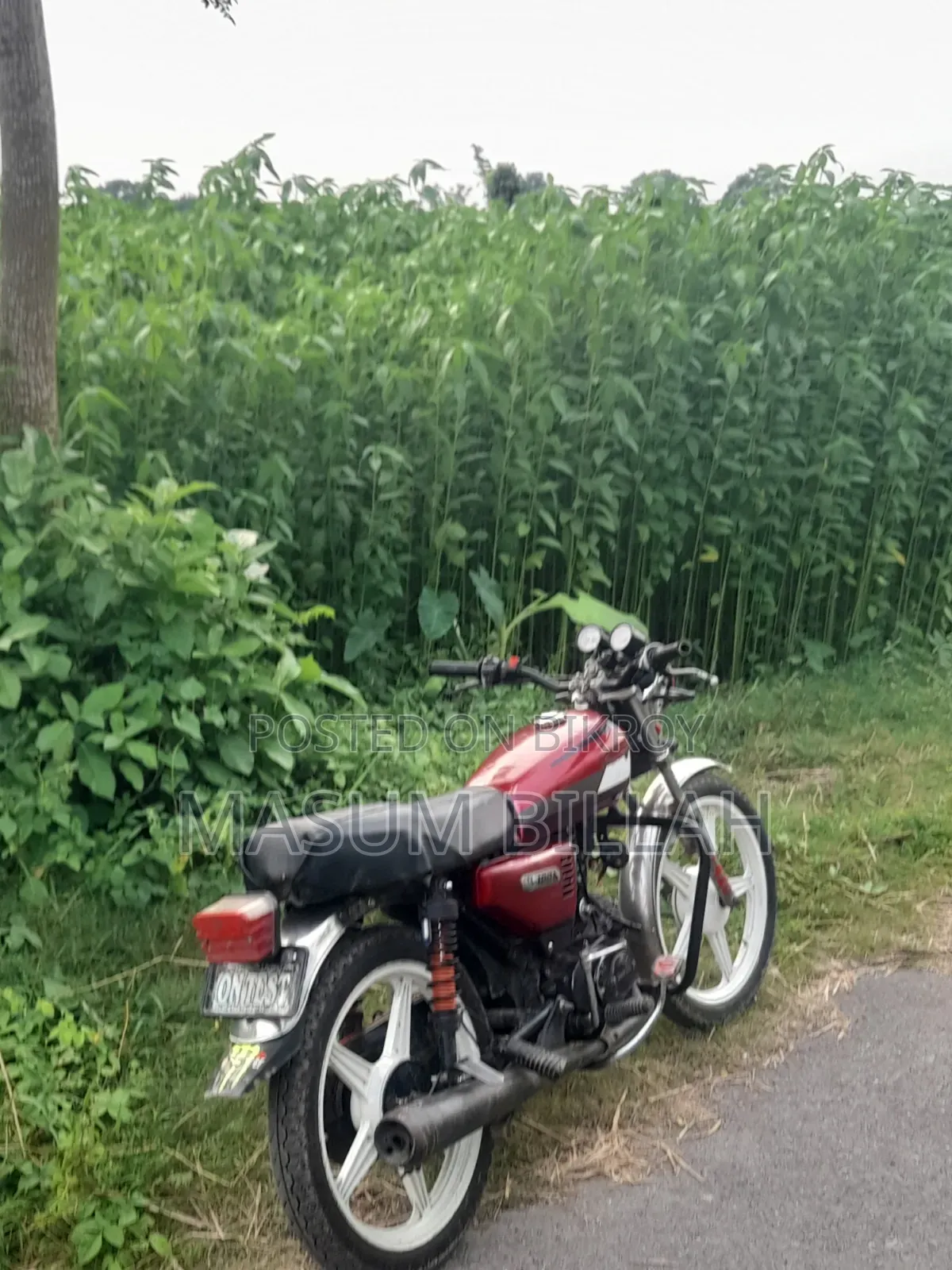 Dayang DY100-A 2026 Red