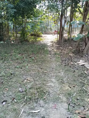 জমি বিক্রিয়