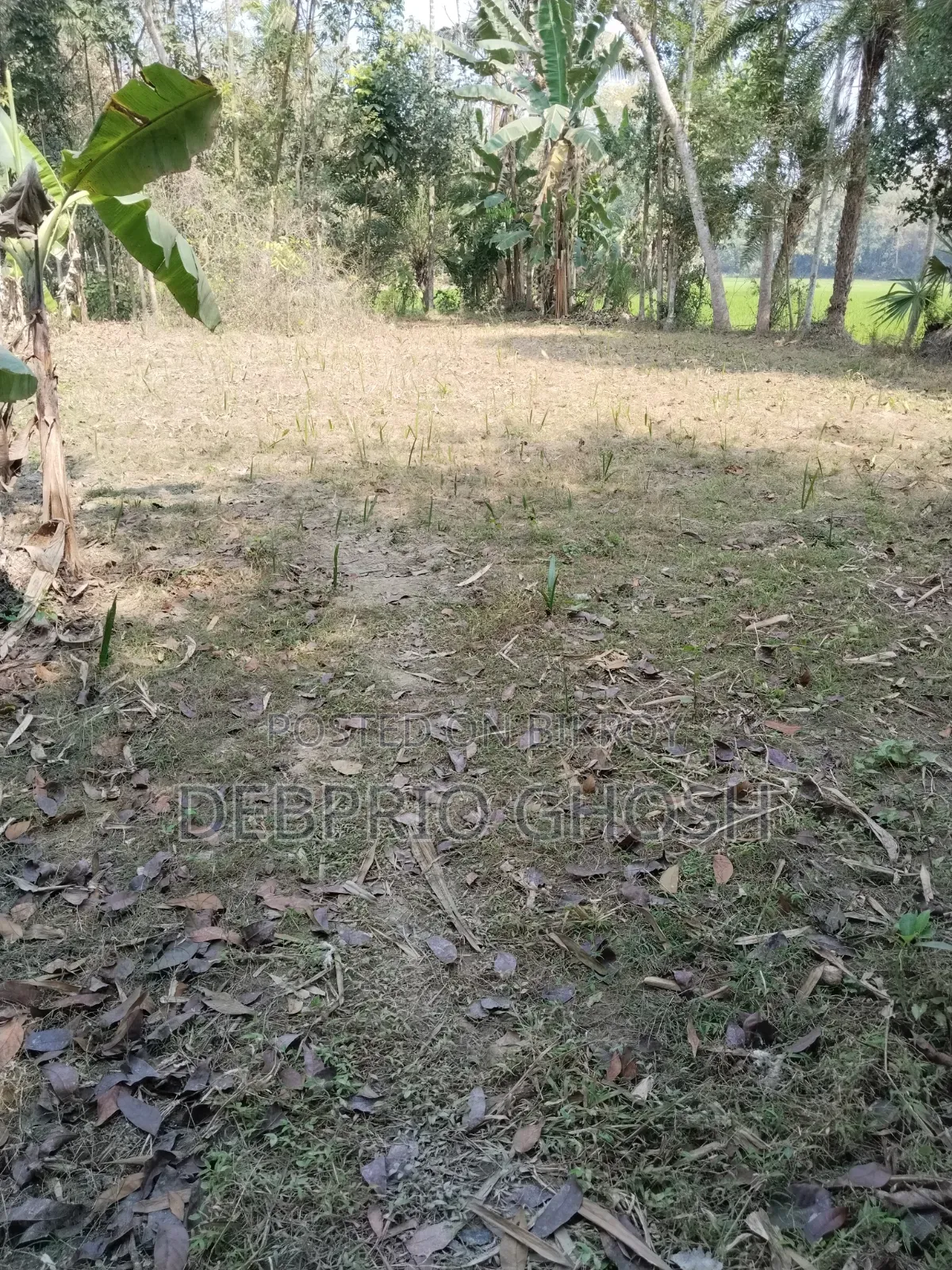জমি বিক্রিয়