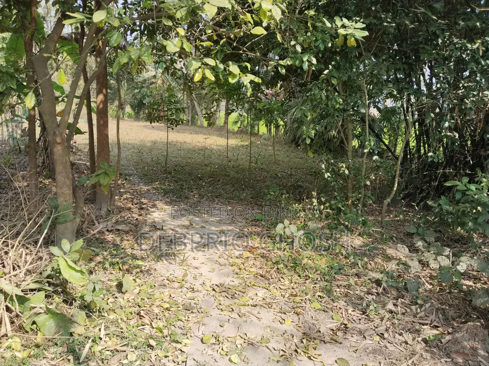 জমি বিক্রিয়