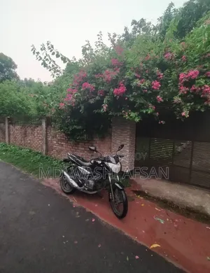 Bajaj Pulsar 135 LS 2012 Black