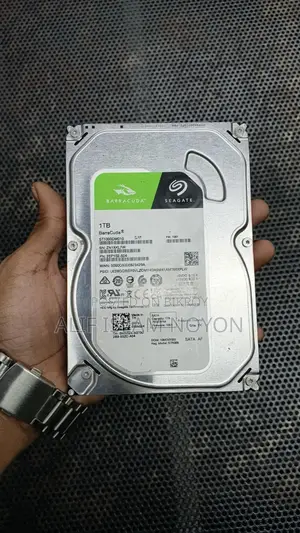 Computer Memory Card