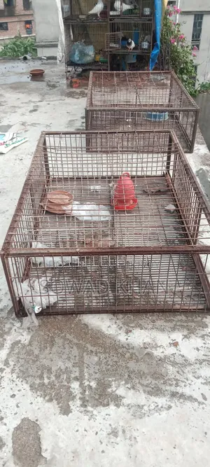 Van-sized chicken cage