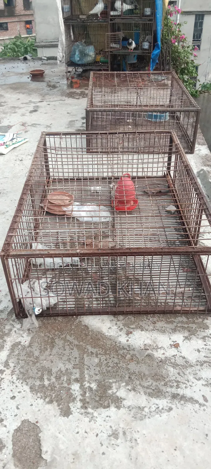 Van-sized chicken cage