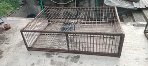 Van-sized chicken cage