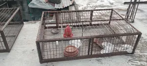 Van-sized chicken cage
