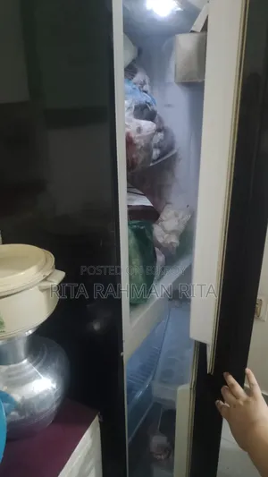 Kelvinator Highest Long Deep Plus Normal Fridge