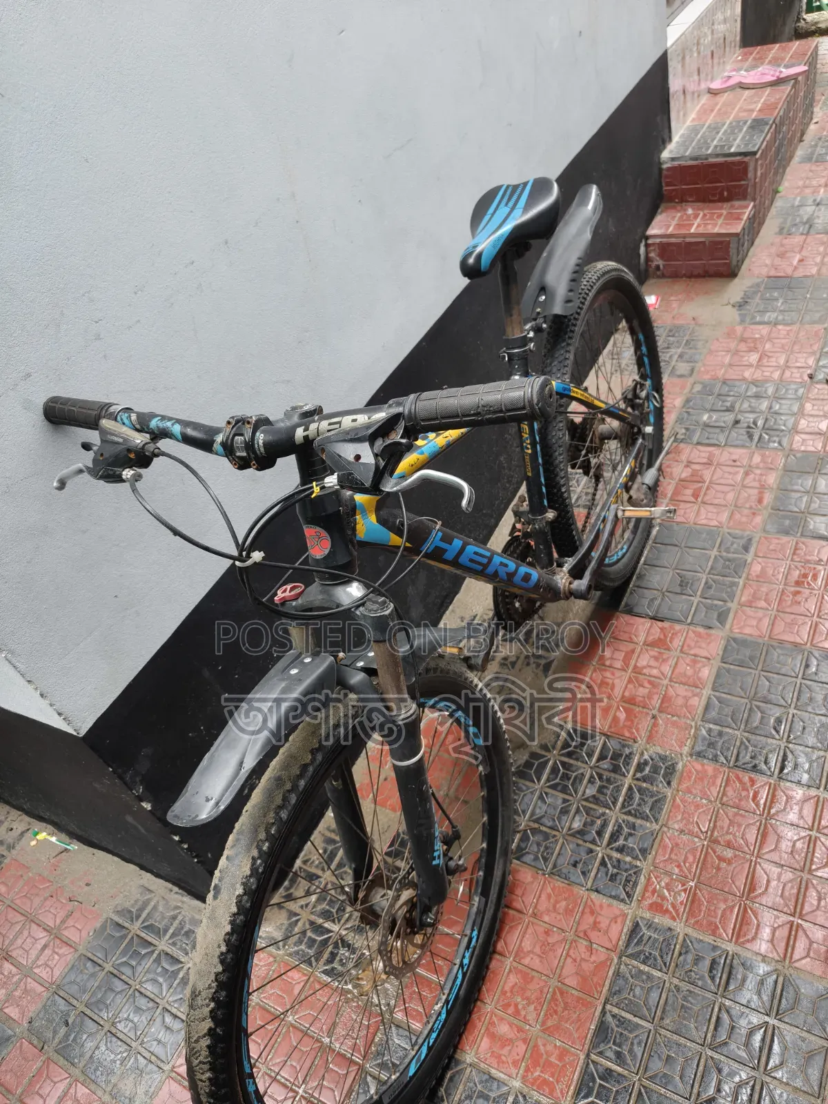 ভাই সাইকেল