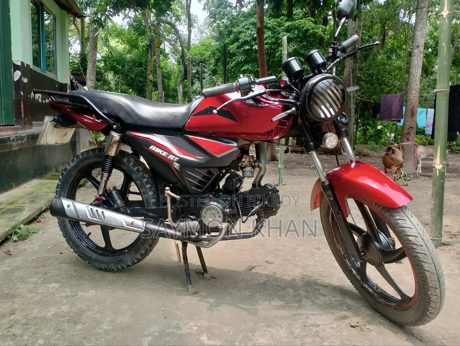 Runner BIKE RT 80 2024 Red