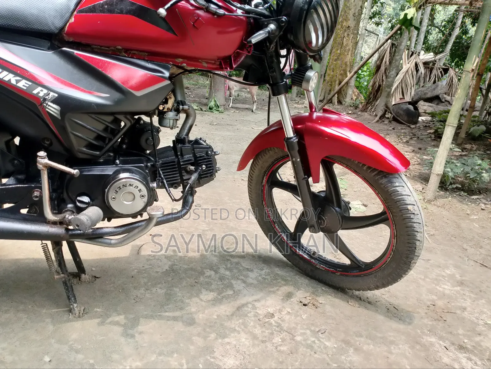 Runner BIKE RT 80 2024 Red