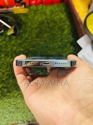 Apple iPhone 12 Pro Max 256 GB Blue