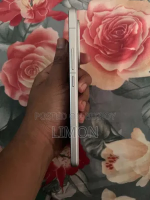 আইকিউওও ১৩ ২৫৬ জিবি সিলভার