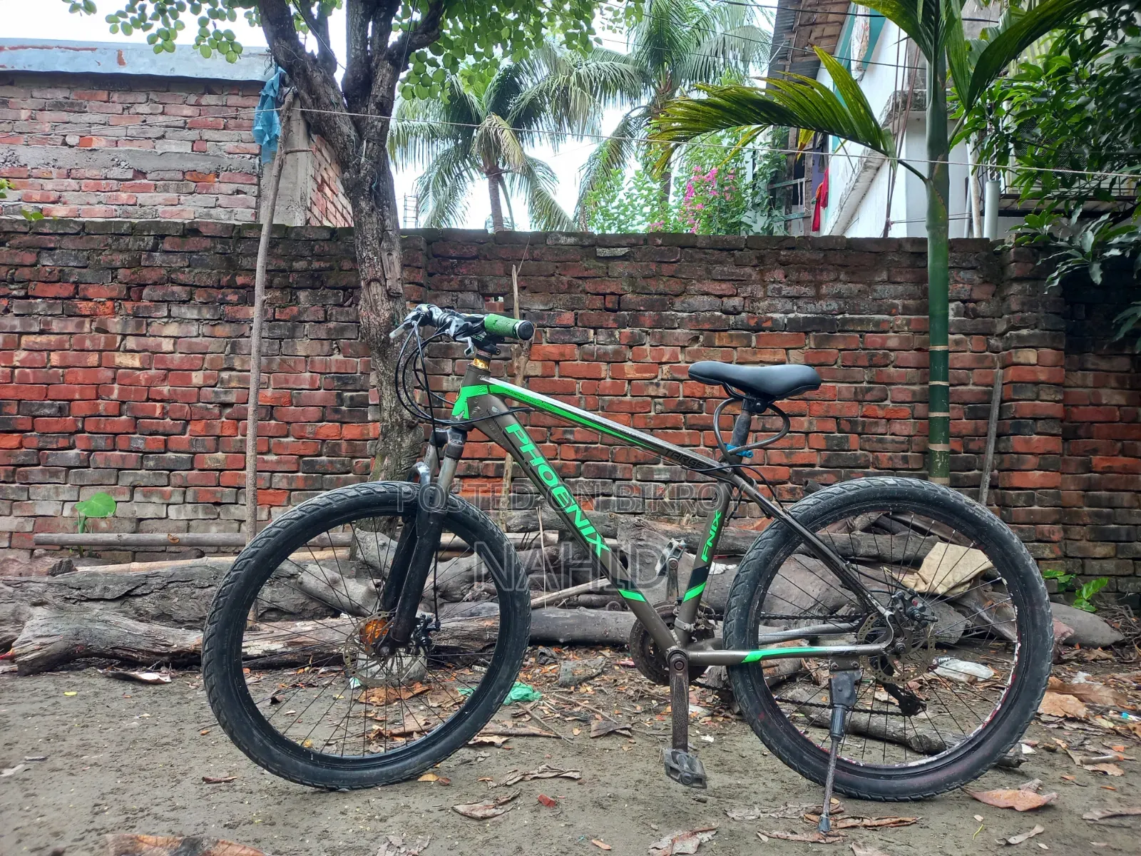 সাইকেল অরজিনাল ফনিক্স