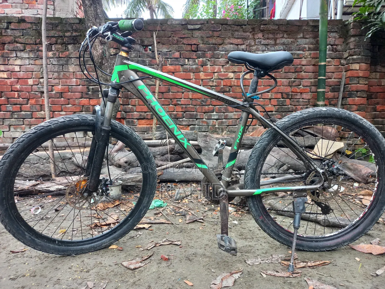 সাইকেল অরজিনাল ফনিক্স