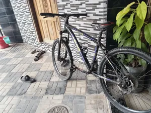 ব্যালেন্স সাইকেল