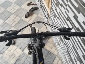 ব্যালেন্স সাইকেল
