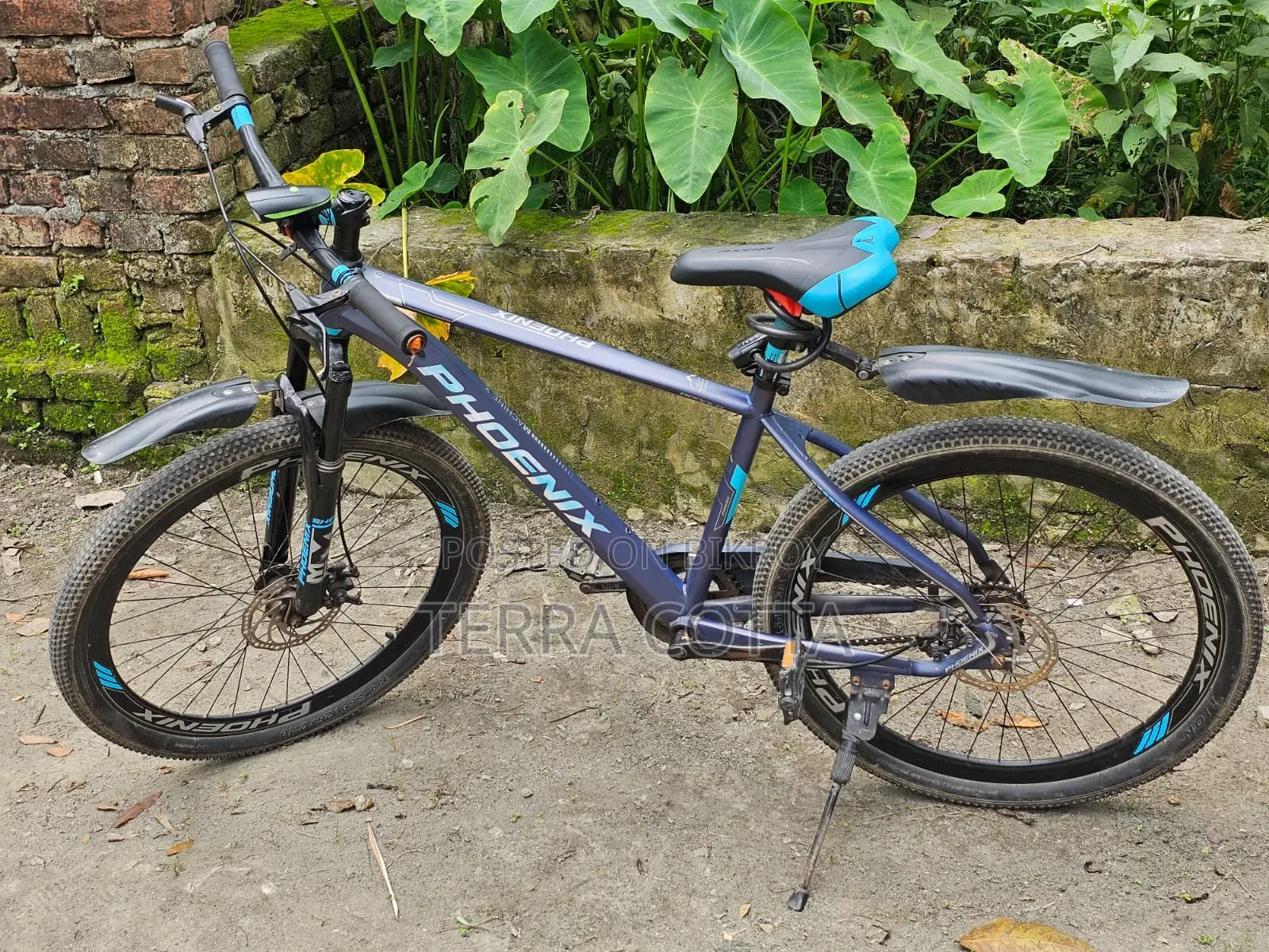 Phoenix Bicycle for sale