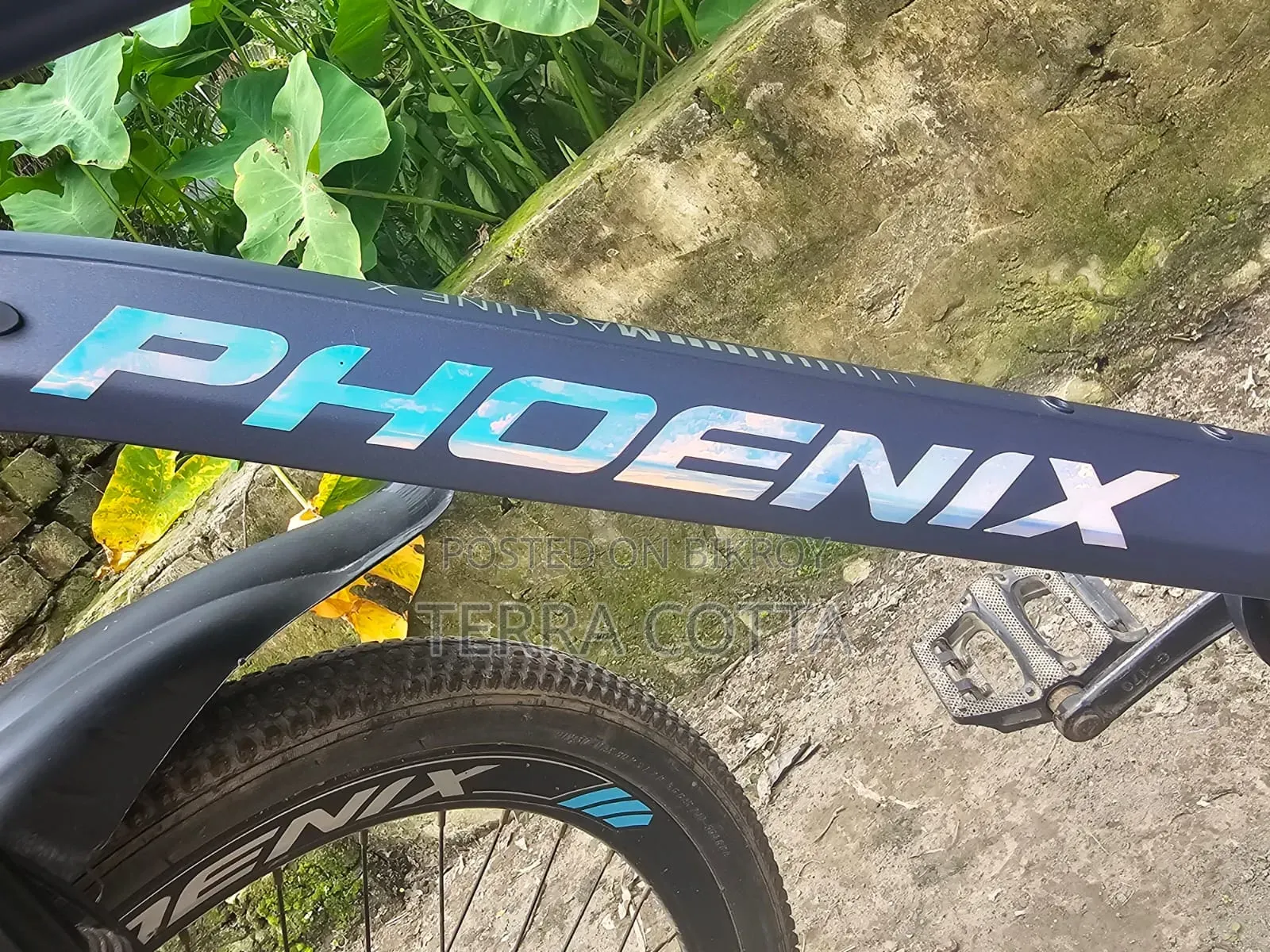 Phoenix Bicycle for sale