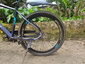 Phoenix Bicycle for sale