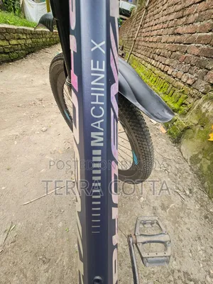Phoenix Bicycle for sale