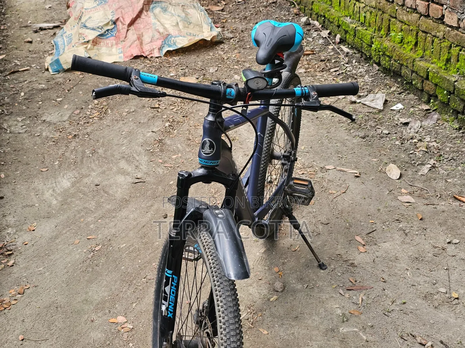 Phoenix Bicycle for sale