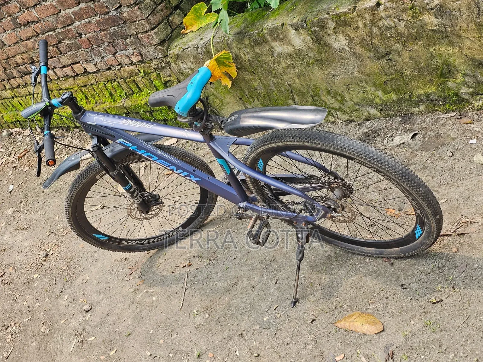Phoenix Bicycle for sale