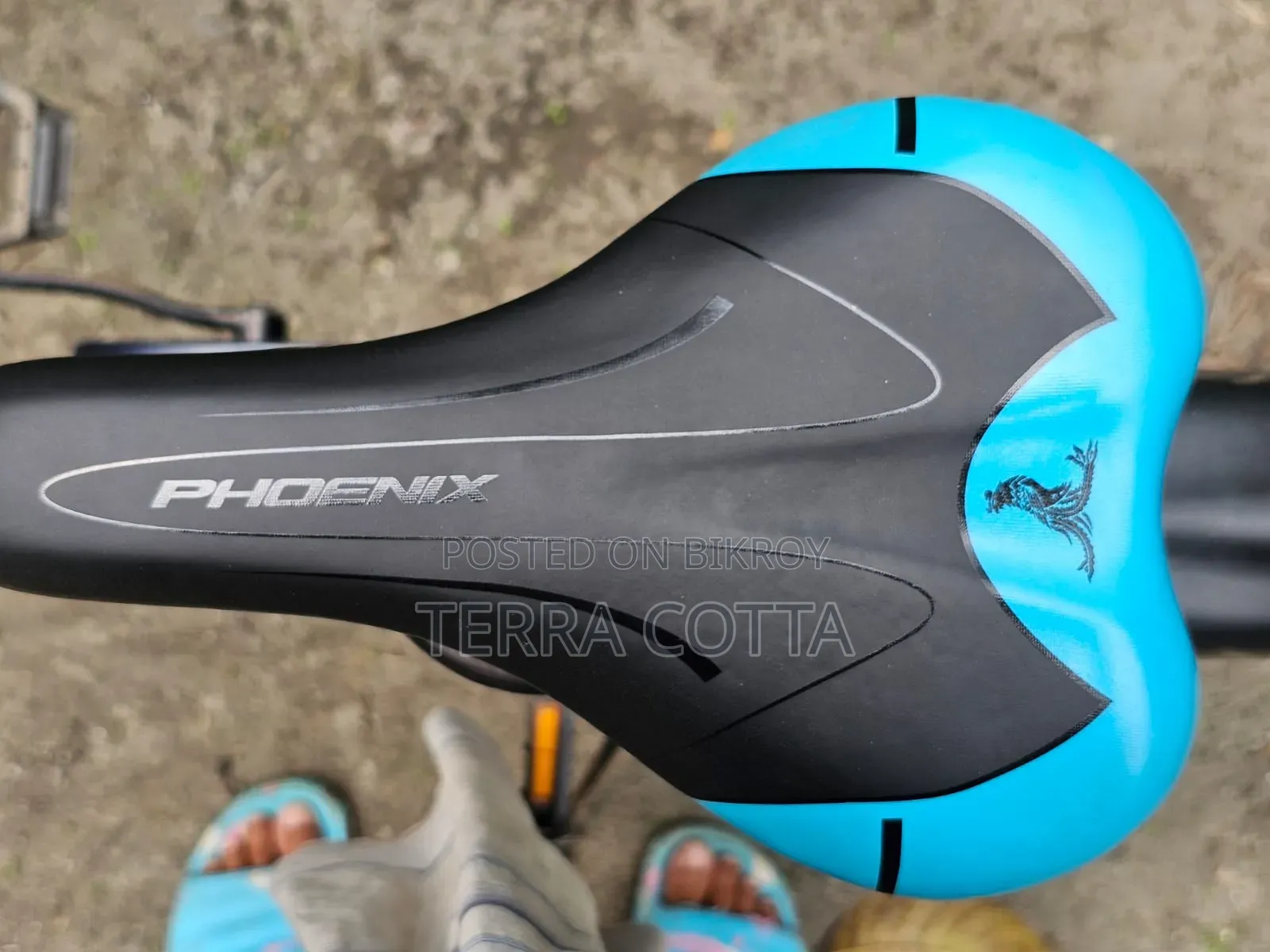 Phoenix Bicycle for sale