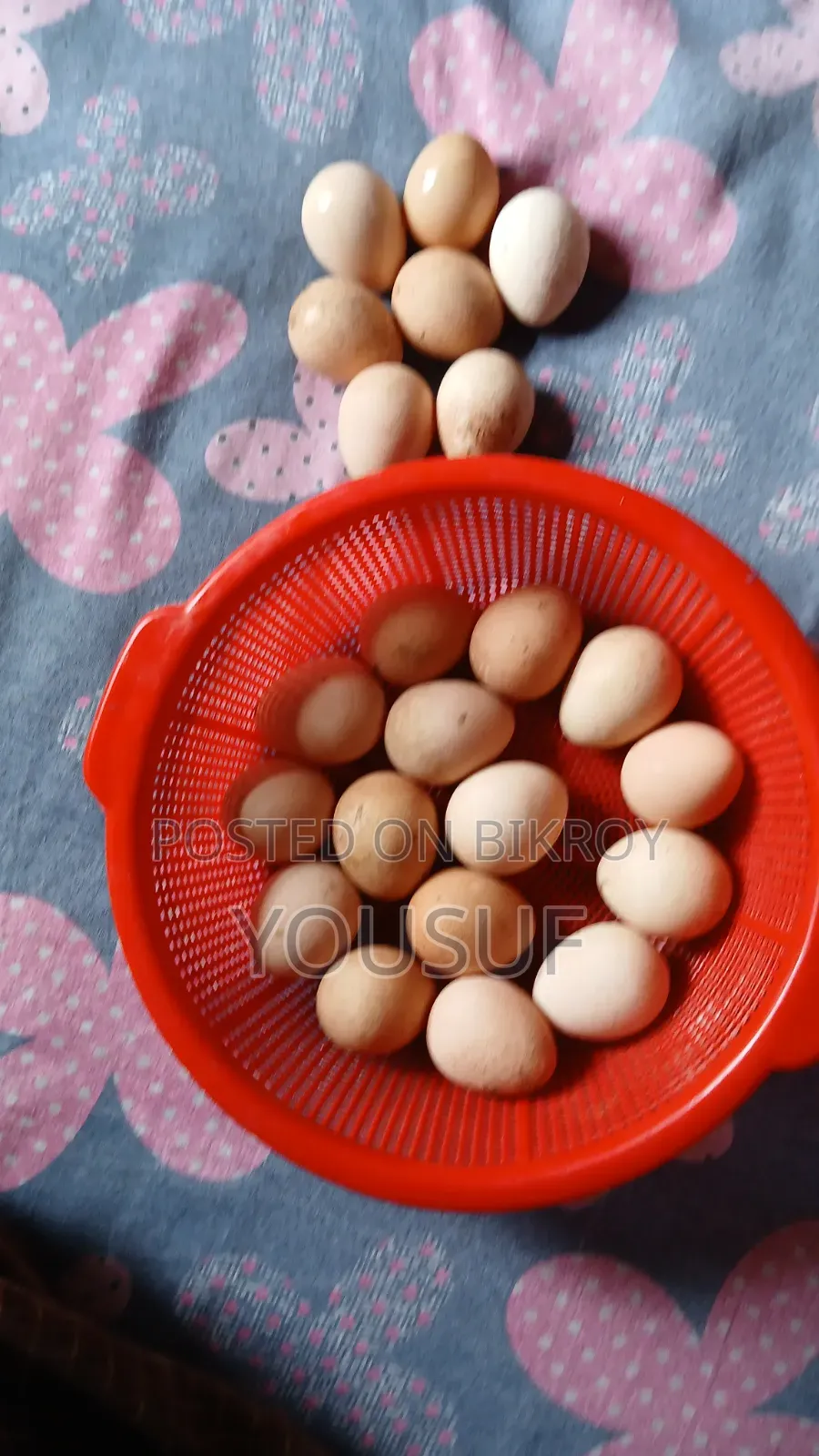 Chinese chicken eggs for sale