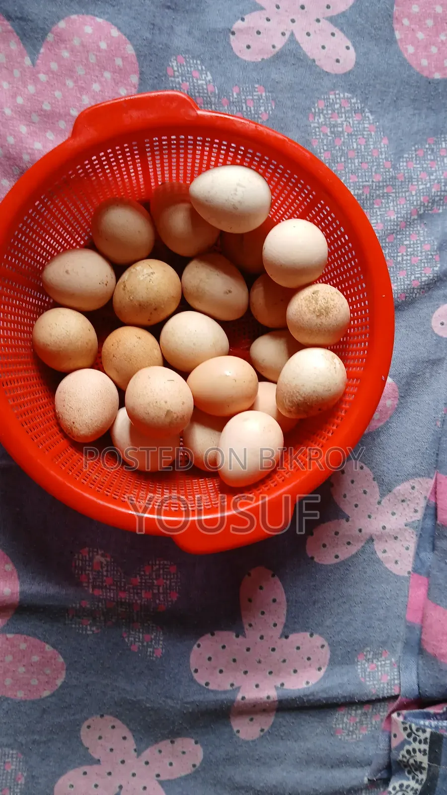 Chinese chicken eggs for sale