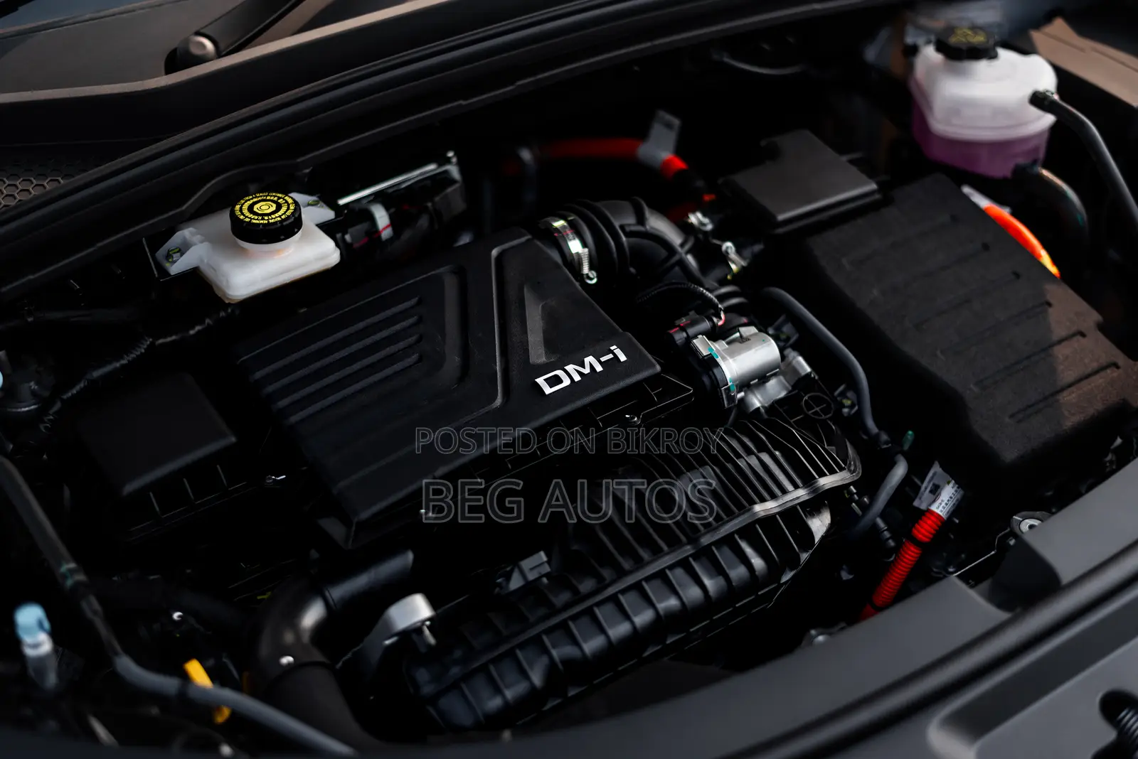 New BYD Sealion 06 DM-i Luxury 2026 Gray