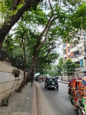 ধানমন্ডি ২০ কাঠা প্লট বিক্রয়