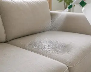 Deep Sofa Cleaning Service at Home | Remove Dust, Dirt, and Odors