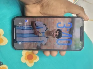 অ্যাপল আইফোন ১২ প্রো ম্যাক্স ২৫৬ জিবি নীল