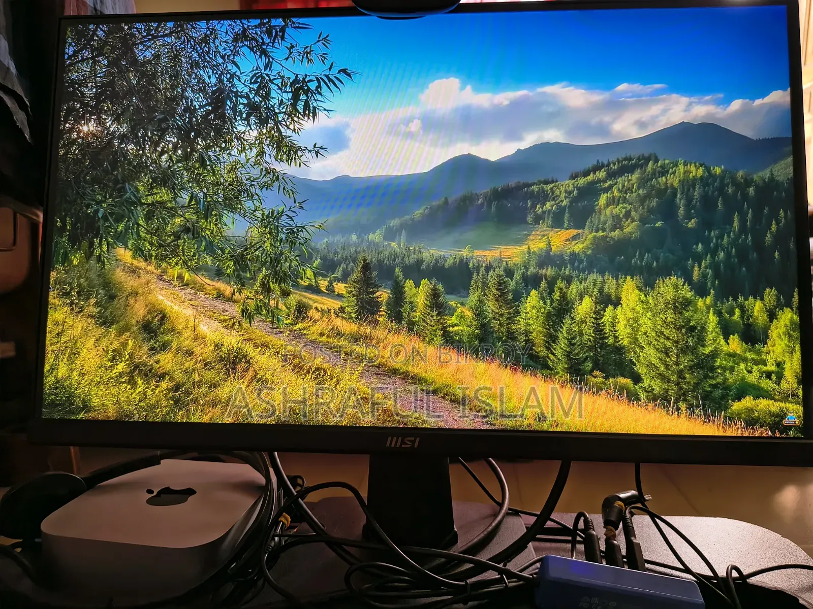 Msi Monitor Pro Mp 225 (100 Hz)