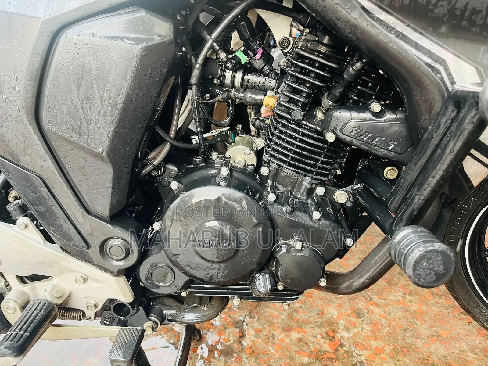 Yamaha FZ6 2024 Black