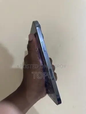Apple iPhone 13 Pro Max 256 GB Blue