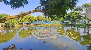 Land for sale with children's park