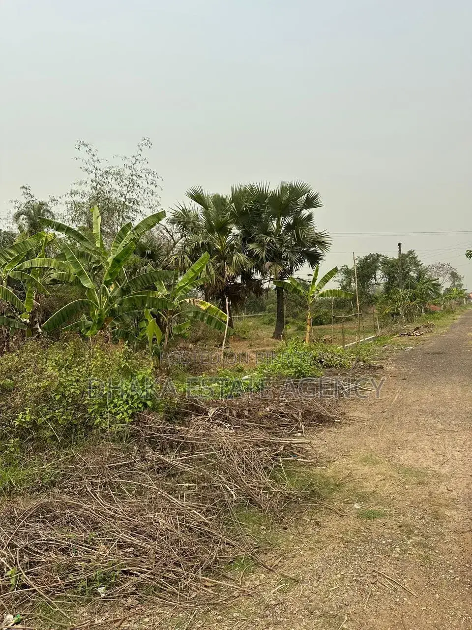 Block-M, 4+4=8,Katha South Facing Plot Sale