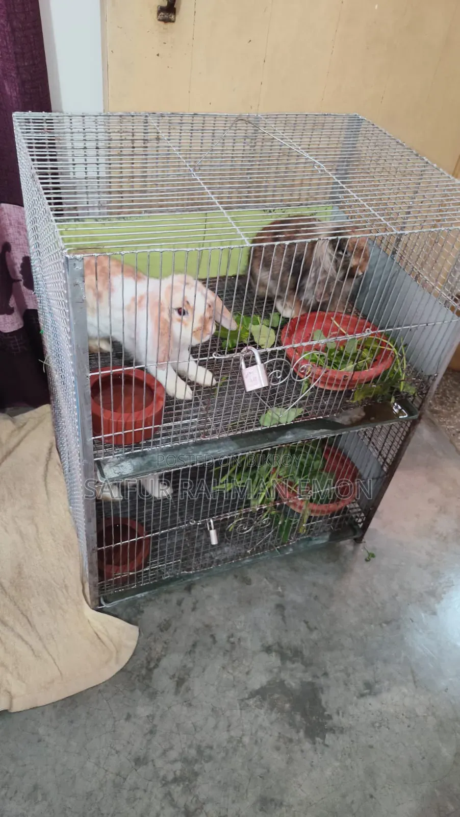 Heavy Quality Iron Cage