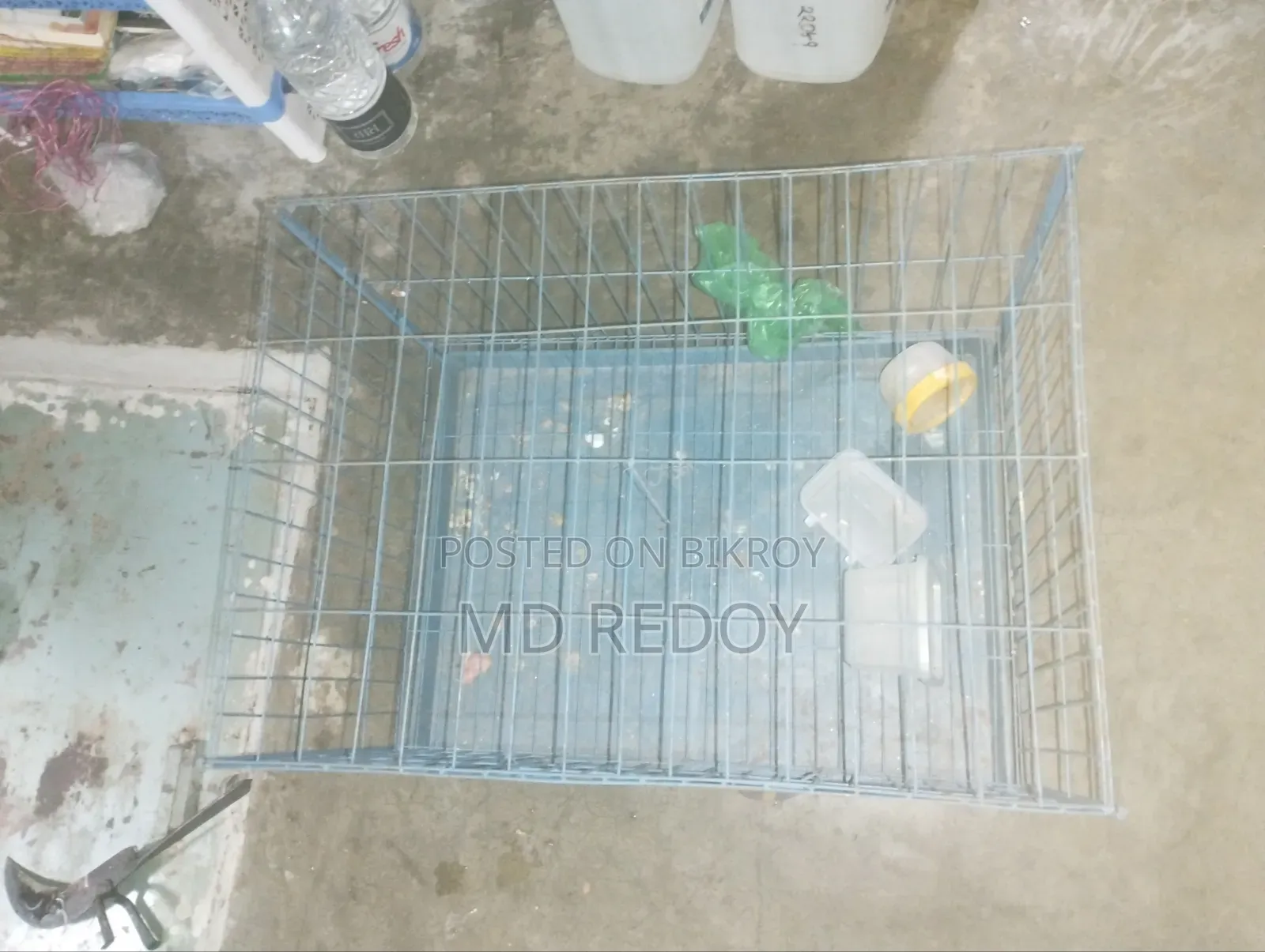 Bird Cage