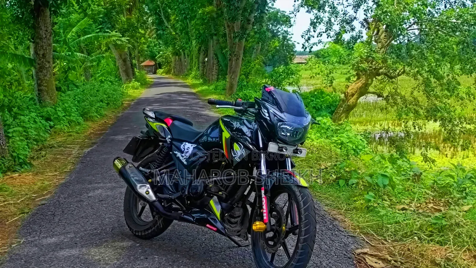 TVS Apache RTR 160 2V 2016 Green